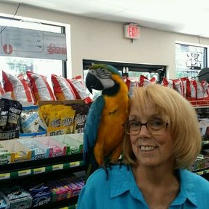 Meet your Posher, Nancy